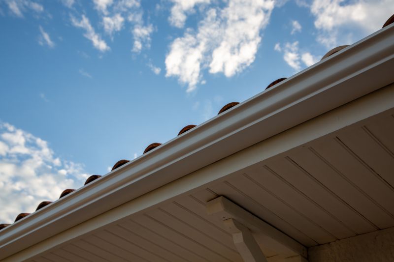 Gutter and Edge Repairs